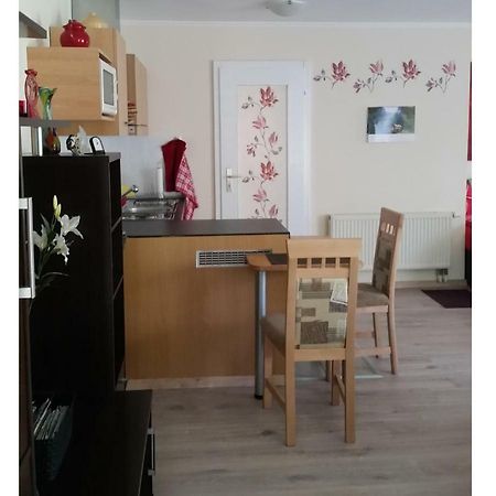 Ferienwohnung Gerlach Dresden Bagian luar foto
